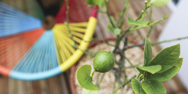 Maison familiale à Brem-sur-mer