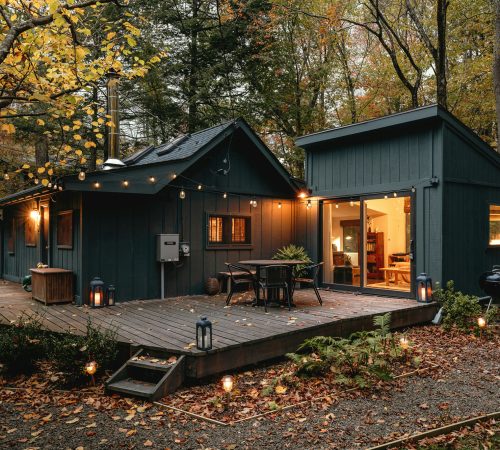 Les-Vacantes-camapgne-boisjpg